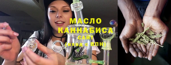 хмурый Арсеньев