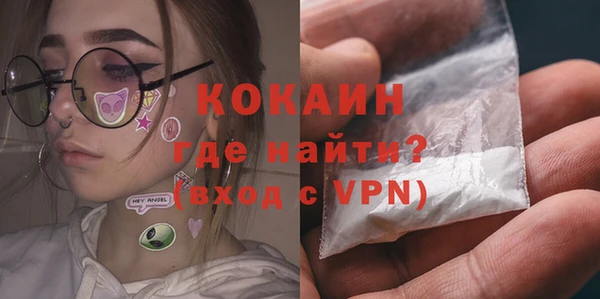 хмурый Арсеньев