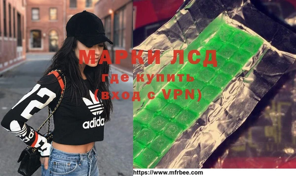 хмурый Арсеньев