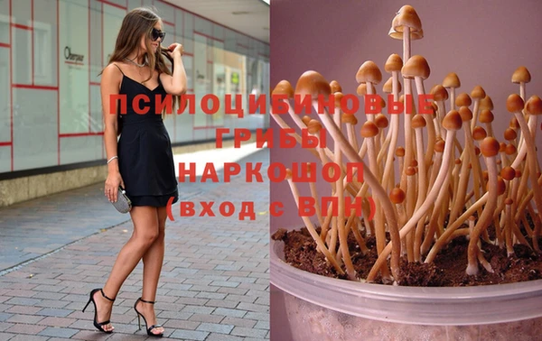 молекула духа Аркадак