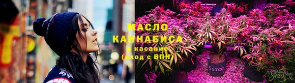 хмурый Арсеньев