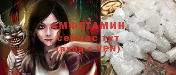 хмурый Арсеньев