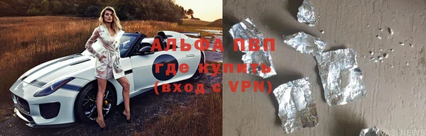 хмурый Арсеньев