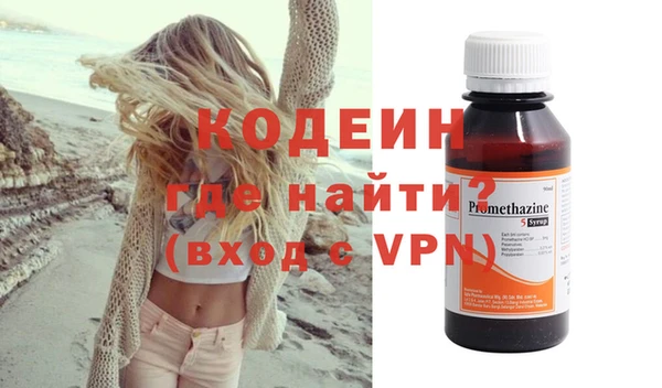 хмурый Арсеньев