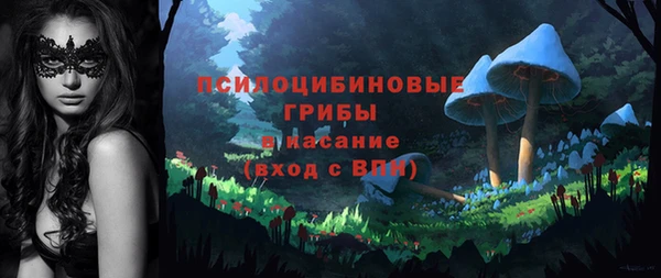 молекула духа Аркадак