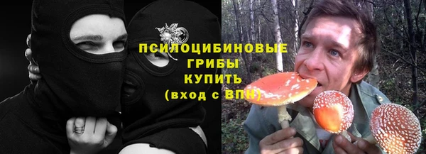 хмурый Арсеньев
